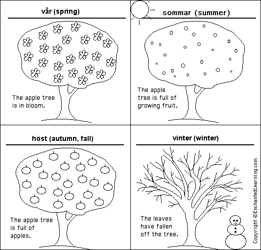 Label the seasons in Swedish - answers