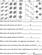 Count the Leaves