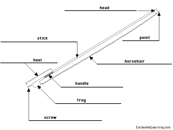 Label the bow - answers