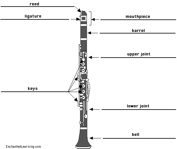 Label the clarinet - answers