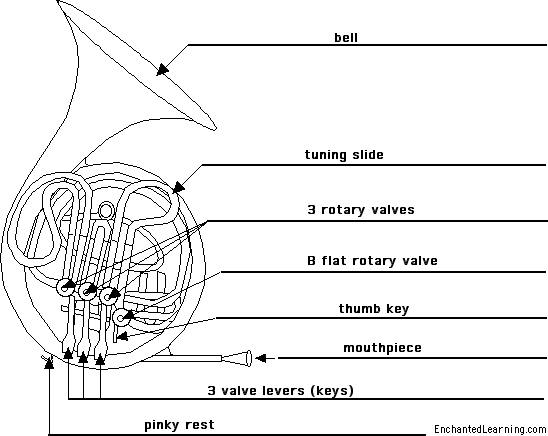 Label the double French horn - answers