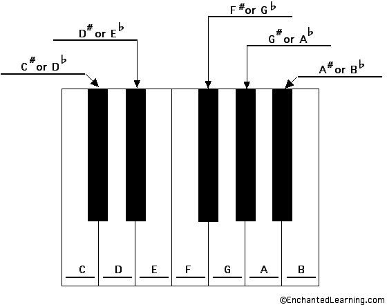 Label the musical keyboard - answers
