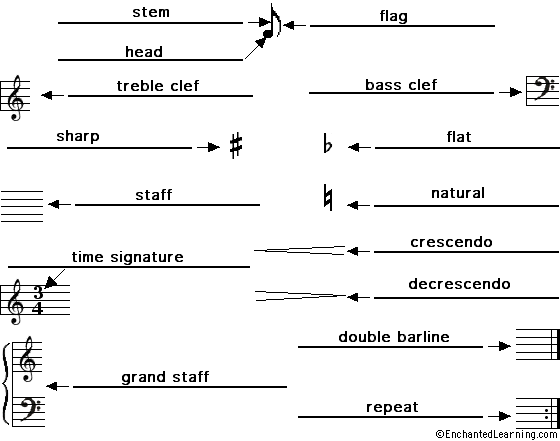 Label the Musical Notes and Rests - answers