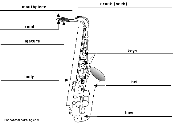 Label the saxophone - answers
