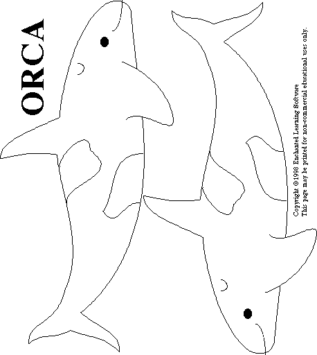 Orca