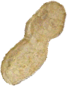 Peanut.GIF