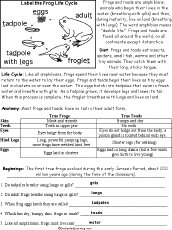 Worksheet