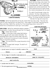 Worksheet