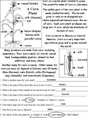 Worksheet