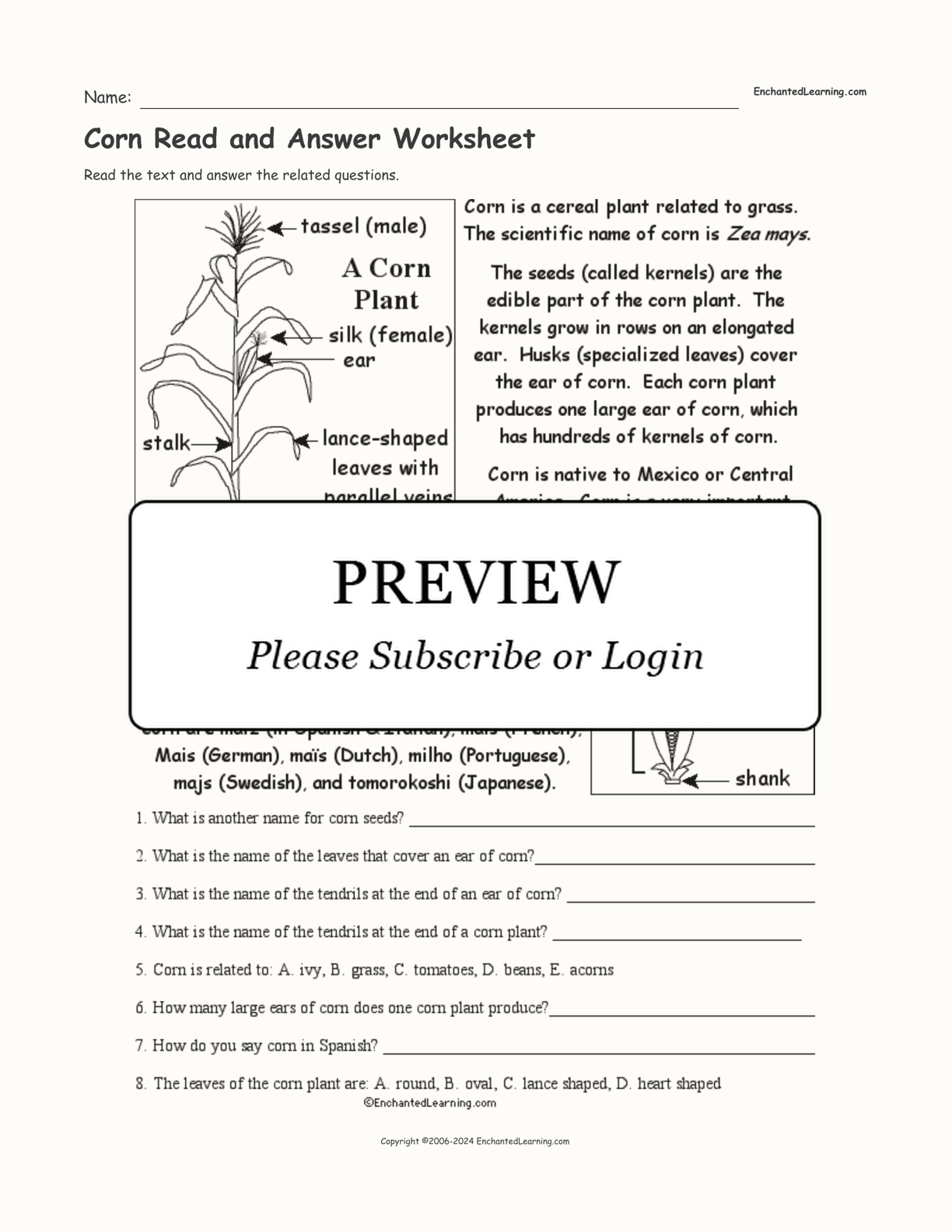 Corn Read and Answer Worksheet interactive worksheet page 1