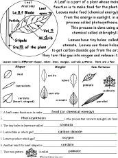 Worksheet