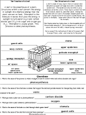 Worksheet