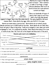 Worksheet