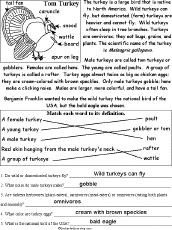Worksheet