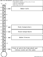Worksheet