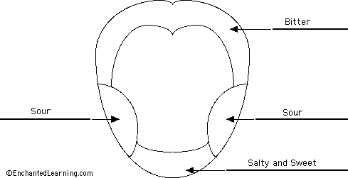 tongue to label