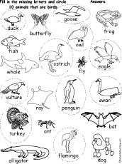 Circle Birds