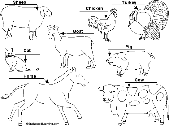 African animals to label