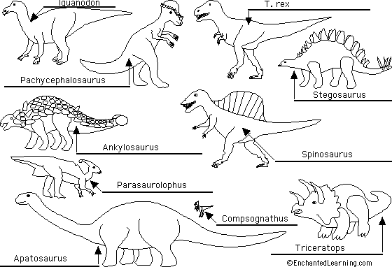 dinosaurs to label