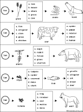 Complete the Food Chains Worksheet #1. Circle the organisms that complete