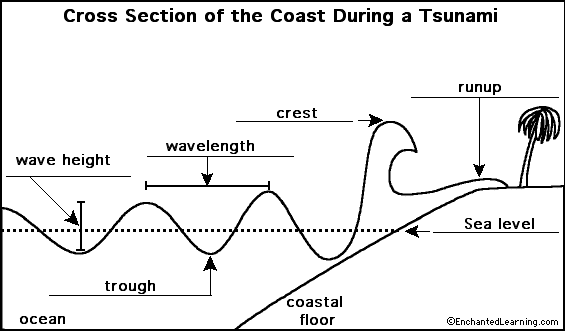 Label the tsunami hitting the coast - answers
