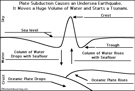 Label the origin of a tsunami - answers