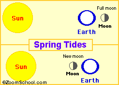 Spring tides are especially strong tides (they do not have anything to do