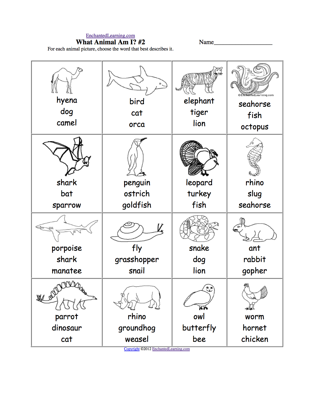 Spelling Worksheets to Print :