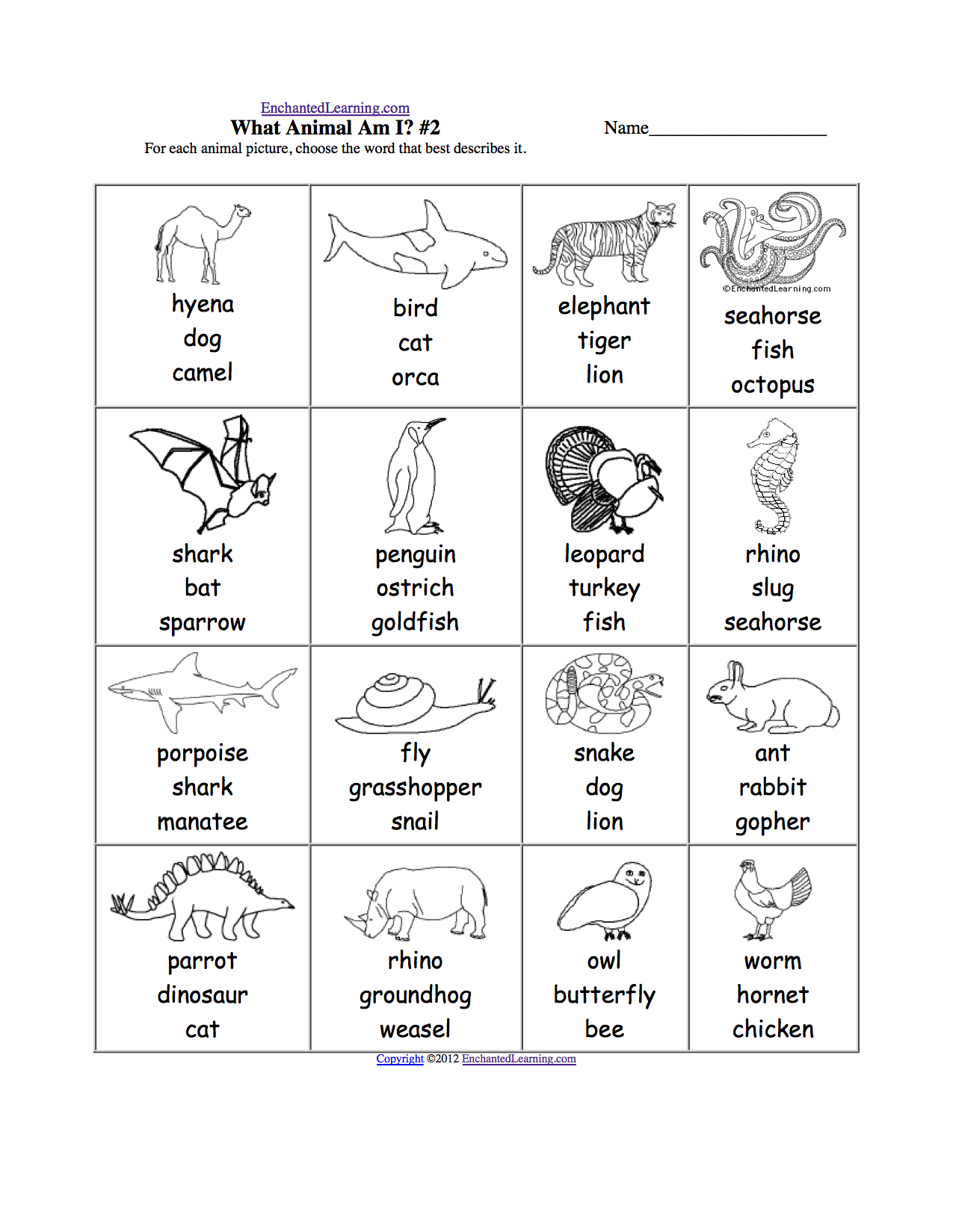 Wild animals worksheets for grade 1