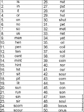 Word Hunt