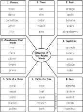 words by category