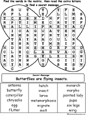 Butterfly Wordsearch