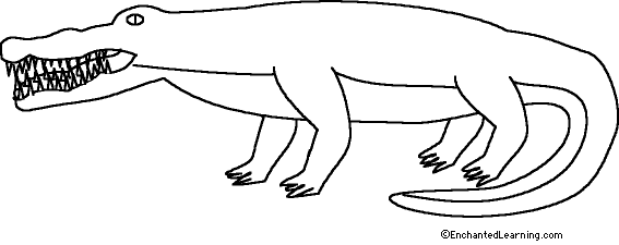 Search result: 'Alligator Printout (simple)'