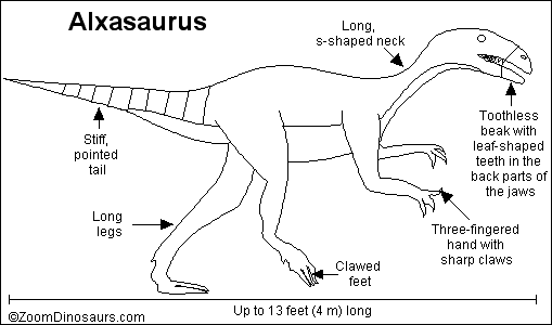 Search result: 'Alxasaurus Printout'