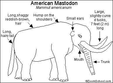 Mastodon Printout