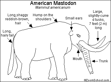 Download Mastodon Printout- EnchantedLearning.com