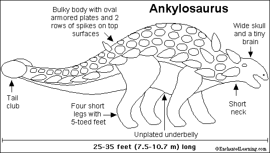 Ankylosaurus