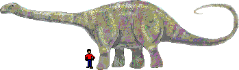 Apatosaurus size compared to humans