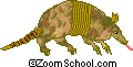 Armadillo