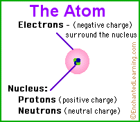 Search result: 'Nucleus'