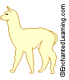 Alpaca