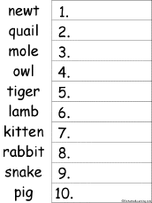 Search result: 'Animal Names Alphabetical Order Worksheet #2 Printout'
