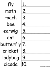 Search result: '10 Insects Alphabetical Order Worksheet Printout'