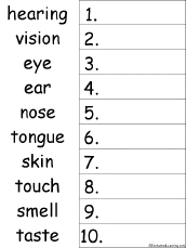 Search result: '10 Sense Words Alphabetical Order Worksheet Printout'