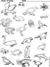 Search result: 'Circle 10 Birds'