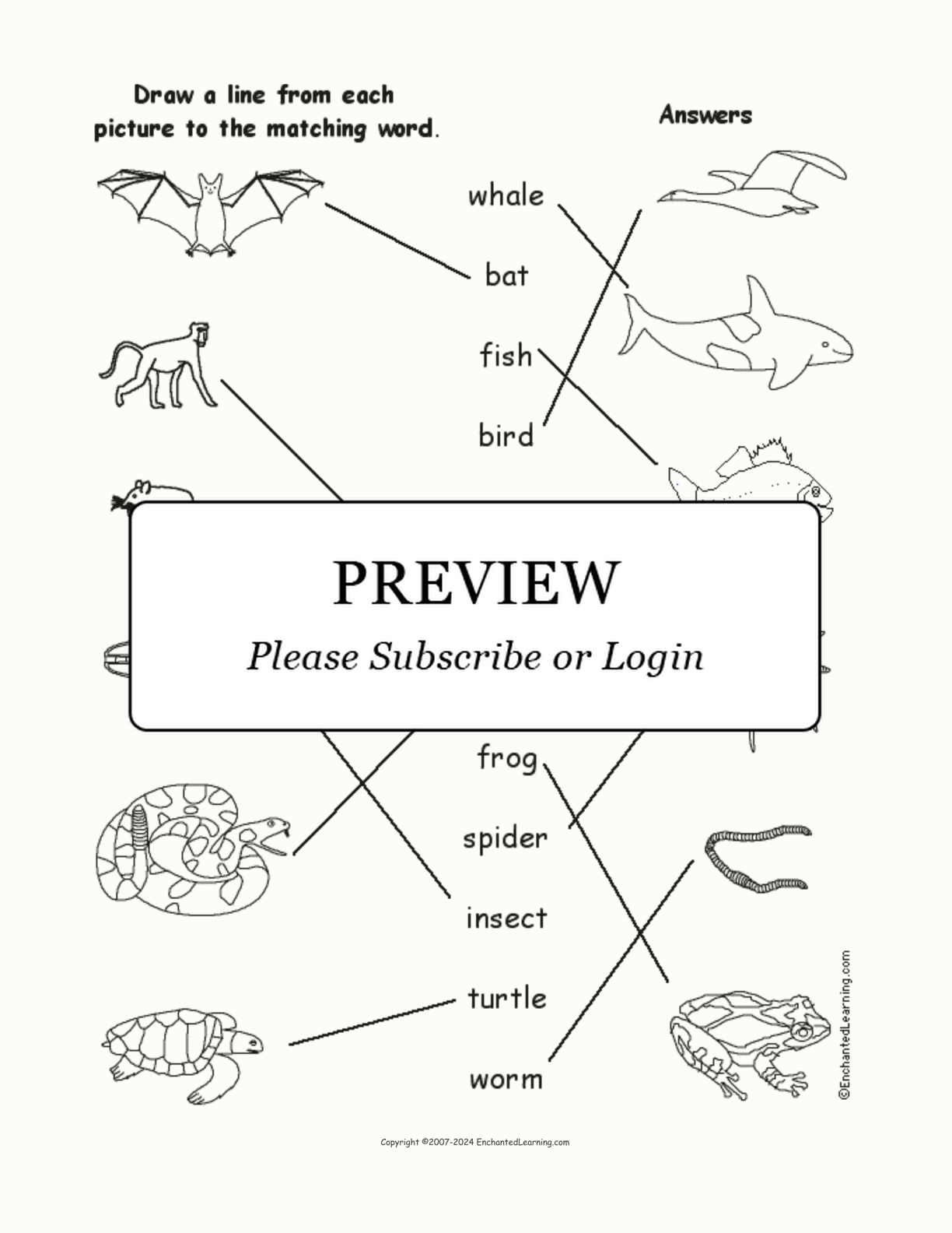 Match the Animal Words to the Pictures interactive worksheet page 2