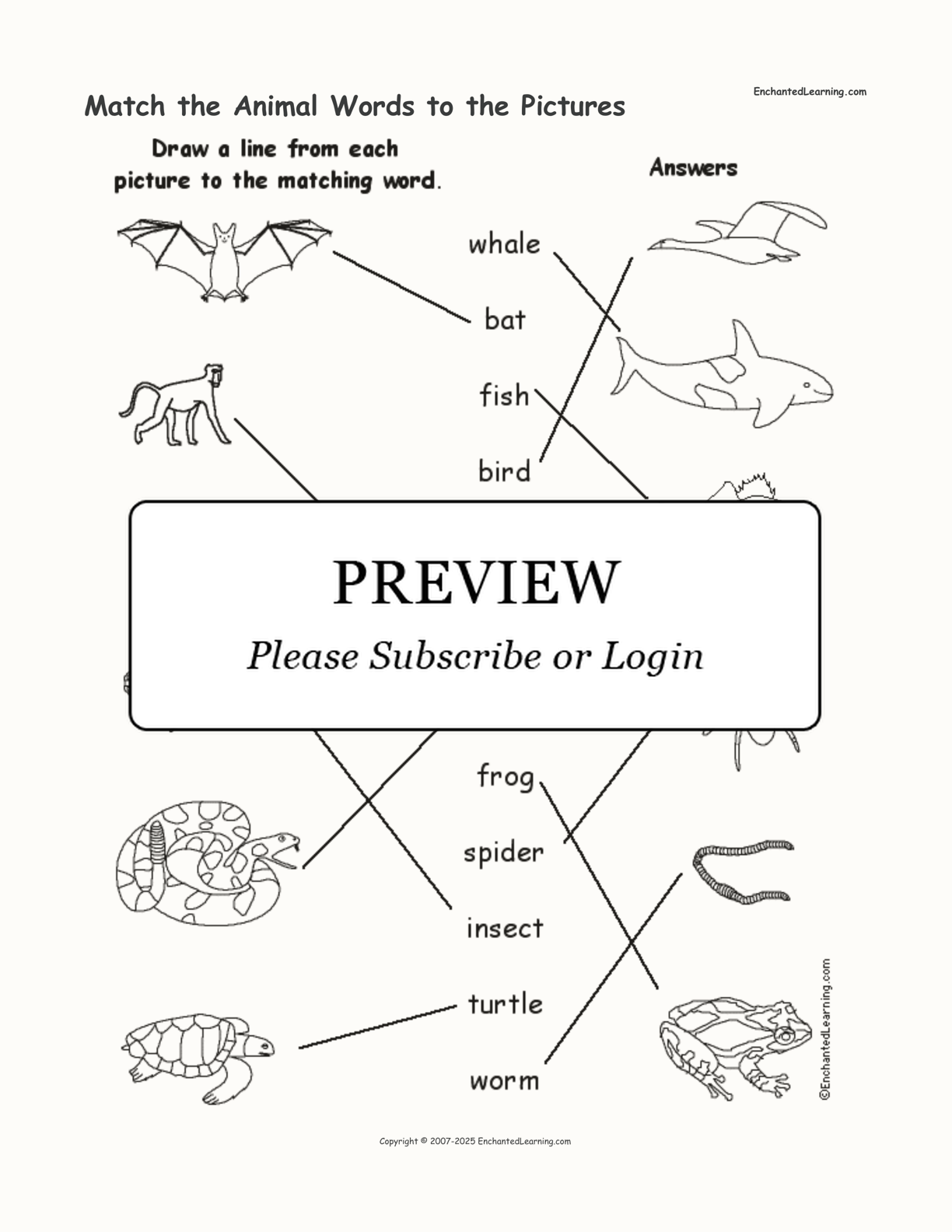 Match the Animal Words to the Pictures interactive worksheet page 2