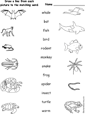 Match Words to Pictures
