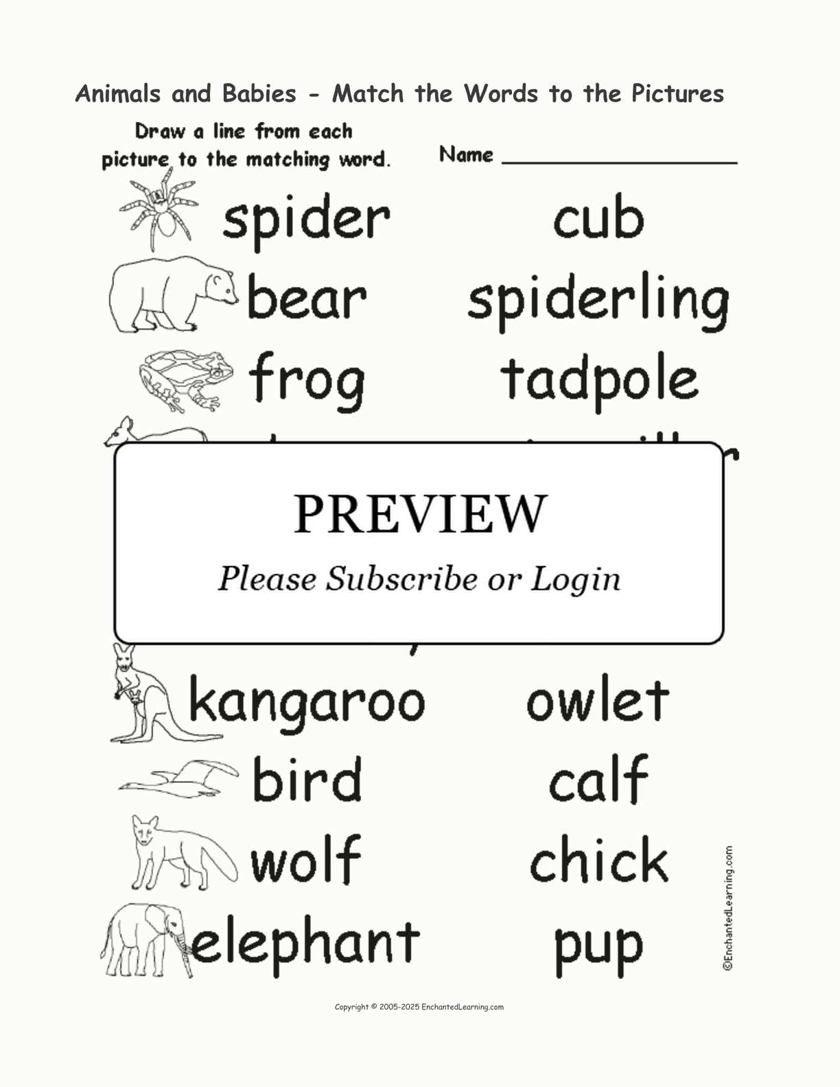 Animals and Babies - Match the Words to the Pictures interactive worksheet page 1