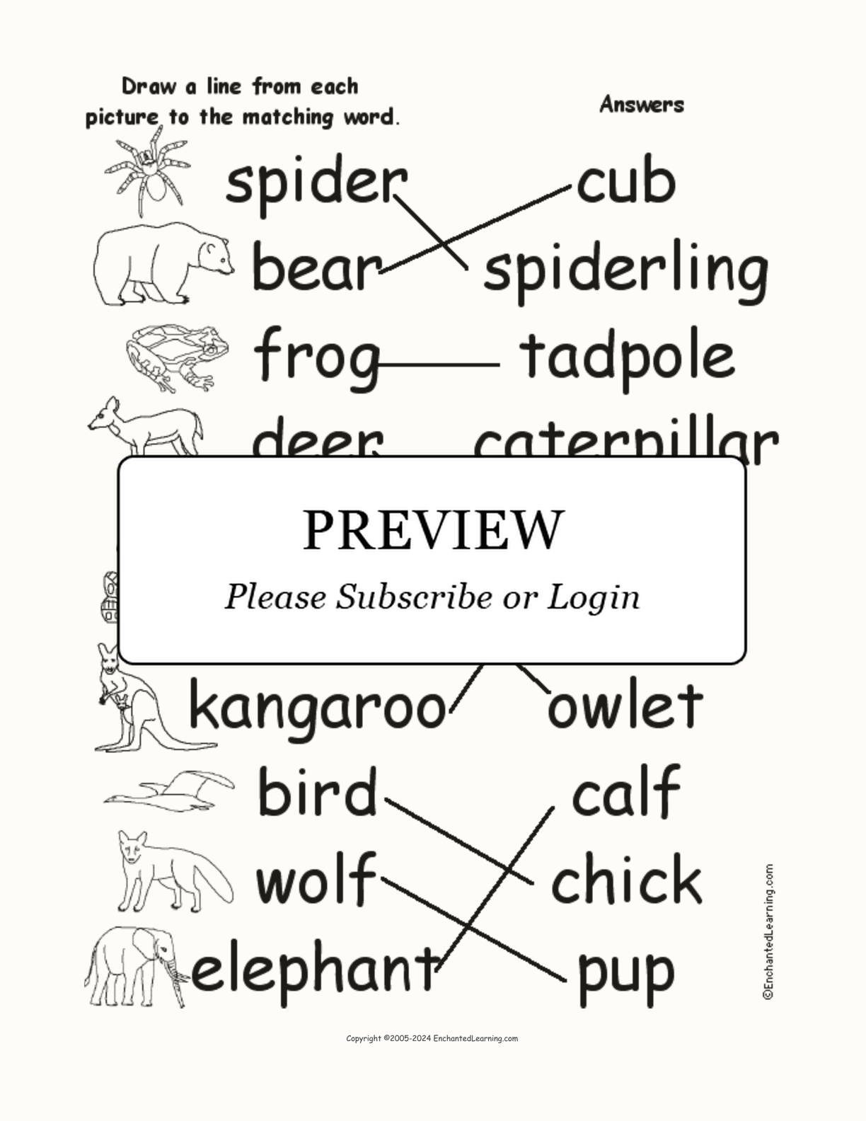 Animals and Babies - Match the Words to the Pictures interactive worksheet page 2